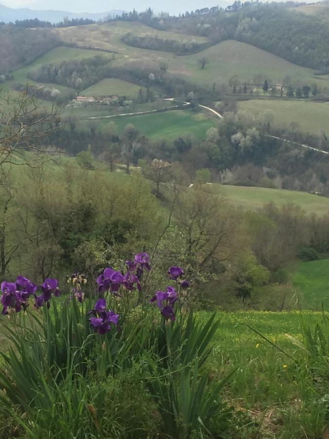 Ca Del Vento Frühstückspension Urbino